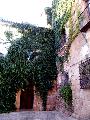 Cceres
